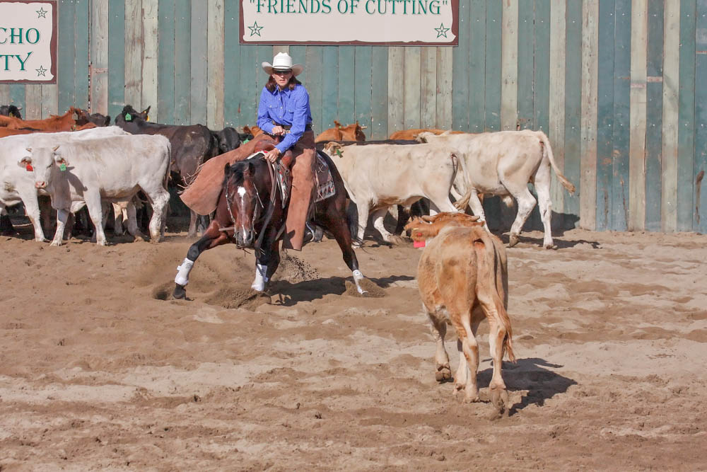 Amazing Grace Ranch