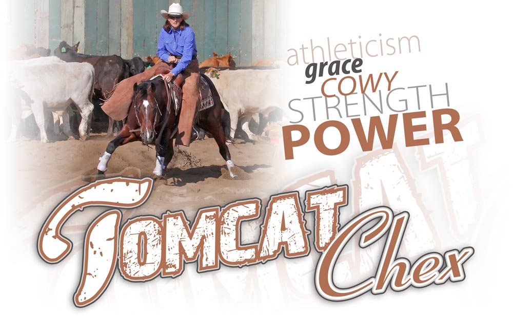 Amazing Grace Ranch, Tomcat Chex